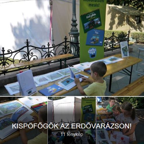 ERDŐVARÁZS